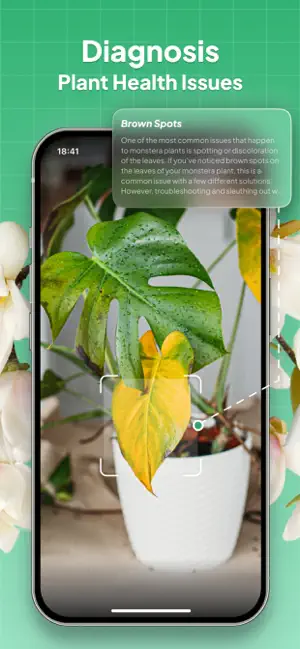 Plant Identifier: LeafSnap screenshot 3