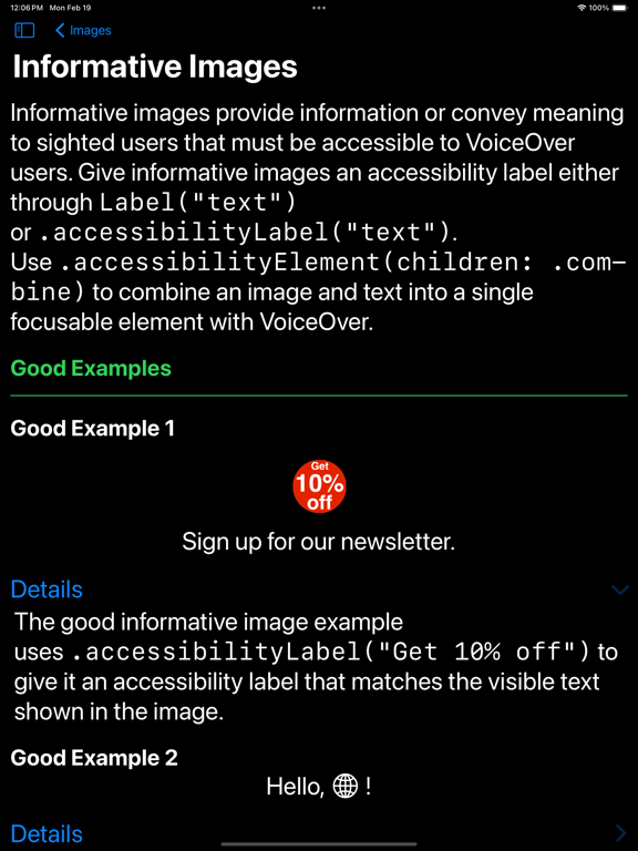 Accessibility Techniques iPad screenshot 5 - Developer Tools app
