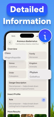 Identifier - Insect IQ iPhone screenshot