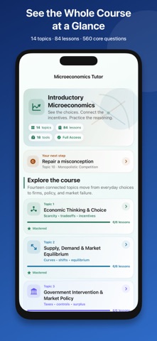 Introductory Microeconomics screenshot 1