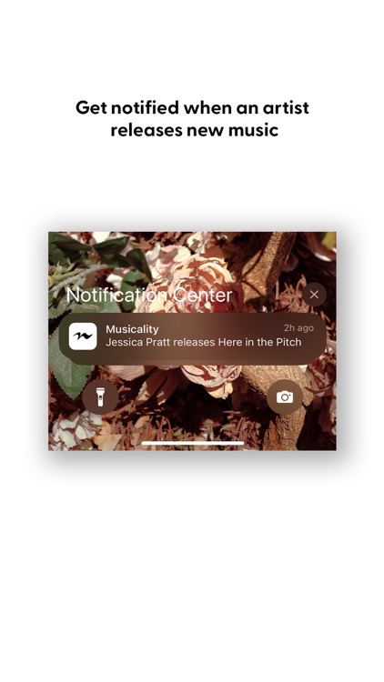 Musicality - Never Miss a Beat