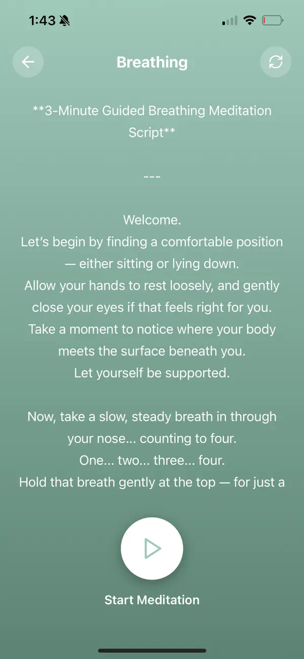 Screenshot #2 pour Mindful Guilded Meditations