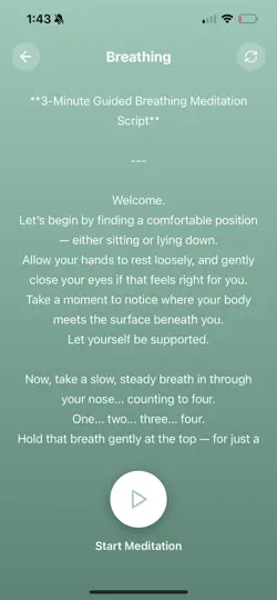 Mindful Guilded Meditations iPhone Ekran Görüntüsü 2