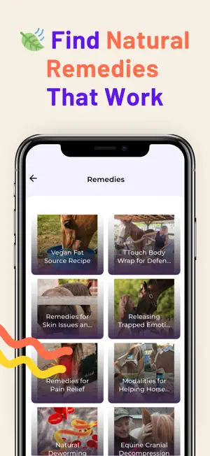 Holistic Horseworks Remedies screenshot 3
