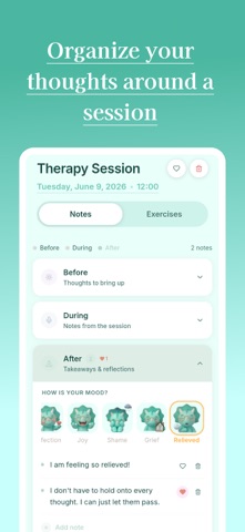 Therapy Journal: TheryMate iPhone screenshot