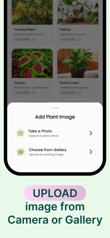 Plant ID: 识别与诊断 screenshot