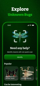 Insect ID, Bug Identifier screenshot