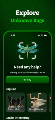 Insect ID, Bug Identifier screenshot 4