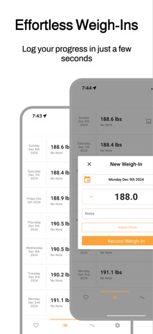 Bright Scale screenshot