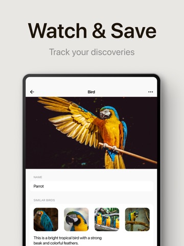 Ornitho - Bird Identifier iPad screenshot