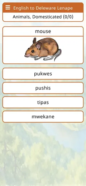 Lenape Vocab Builder screenshot 3