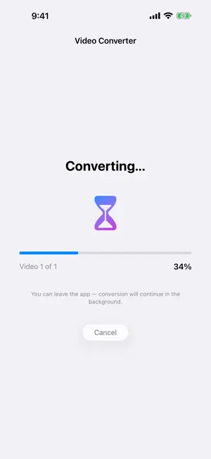 Parex Video Converter screenshot 4