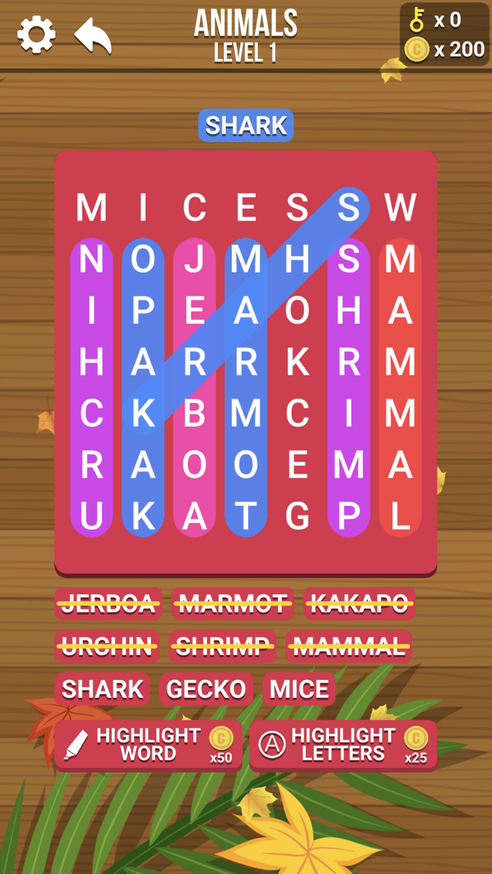 Word Search  Hidden Word