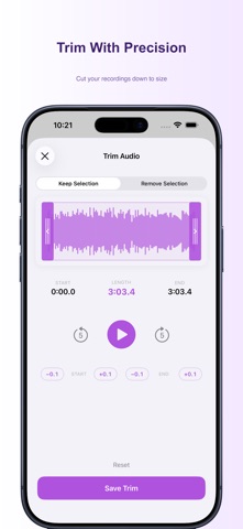 Voice Recorder: Dictaphone iPhone screenshot