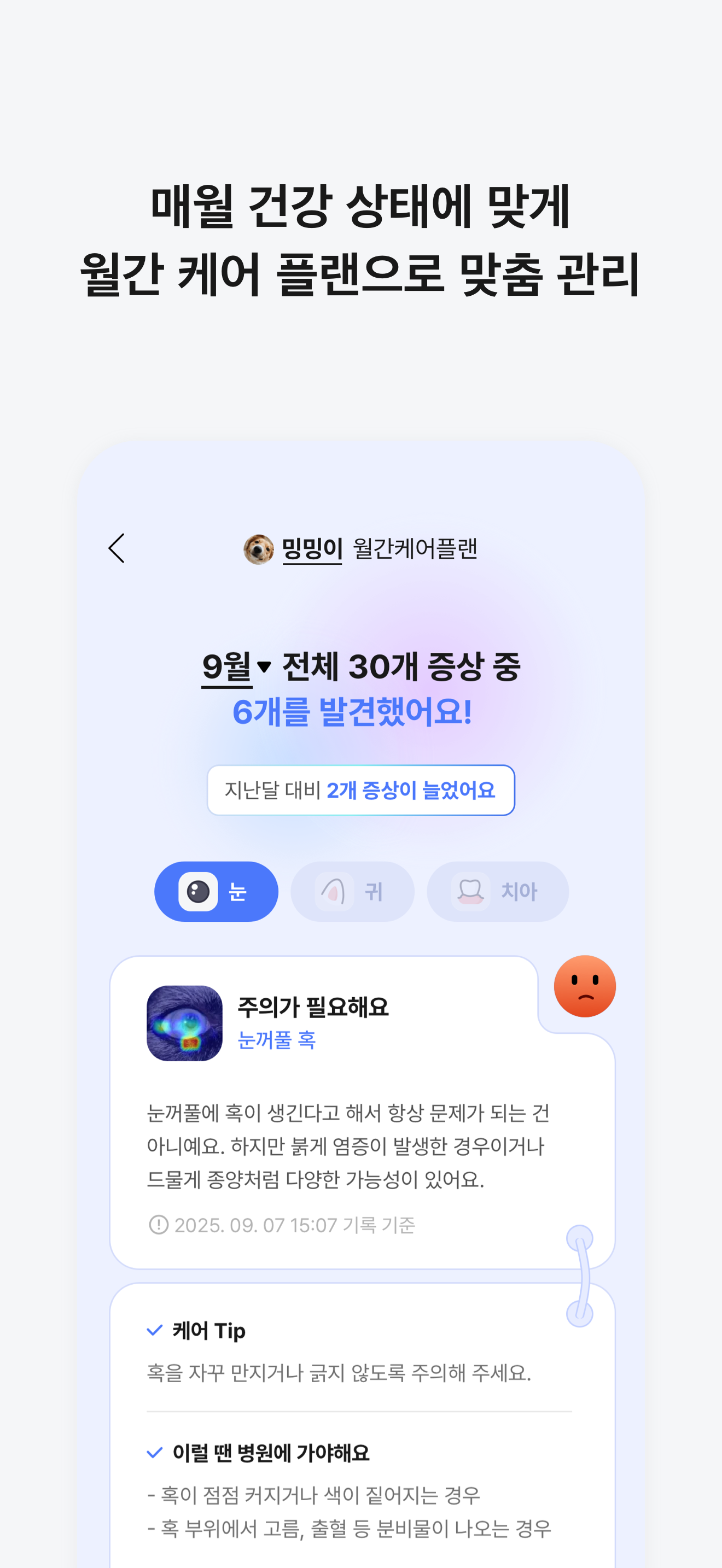 티티케어 - AI가 알려주는 댕냥이 건강 screenshot 5