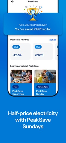 British Gas iPhone screenshot 7