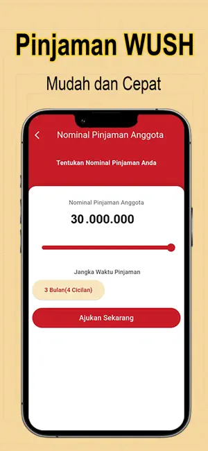 WUSH SIMPAN PINJAM iPhone screenshot 3