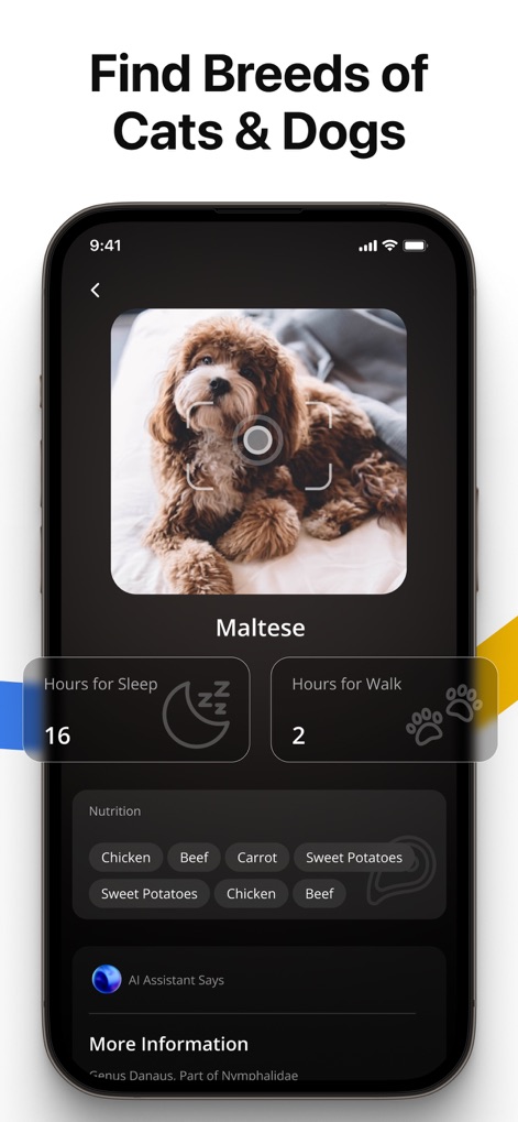 Lens AI: Identify Anything - The app provides comprehensive pet insights, allowing identification of breeds like the Maltese and displaying their daily sleep requirements.
