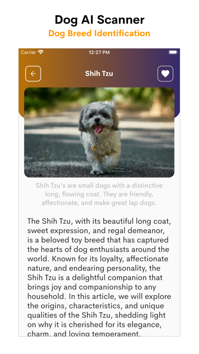 Dog Identifier- Breed detector Screenshot