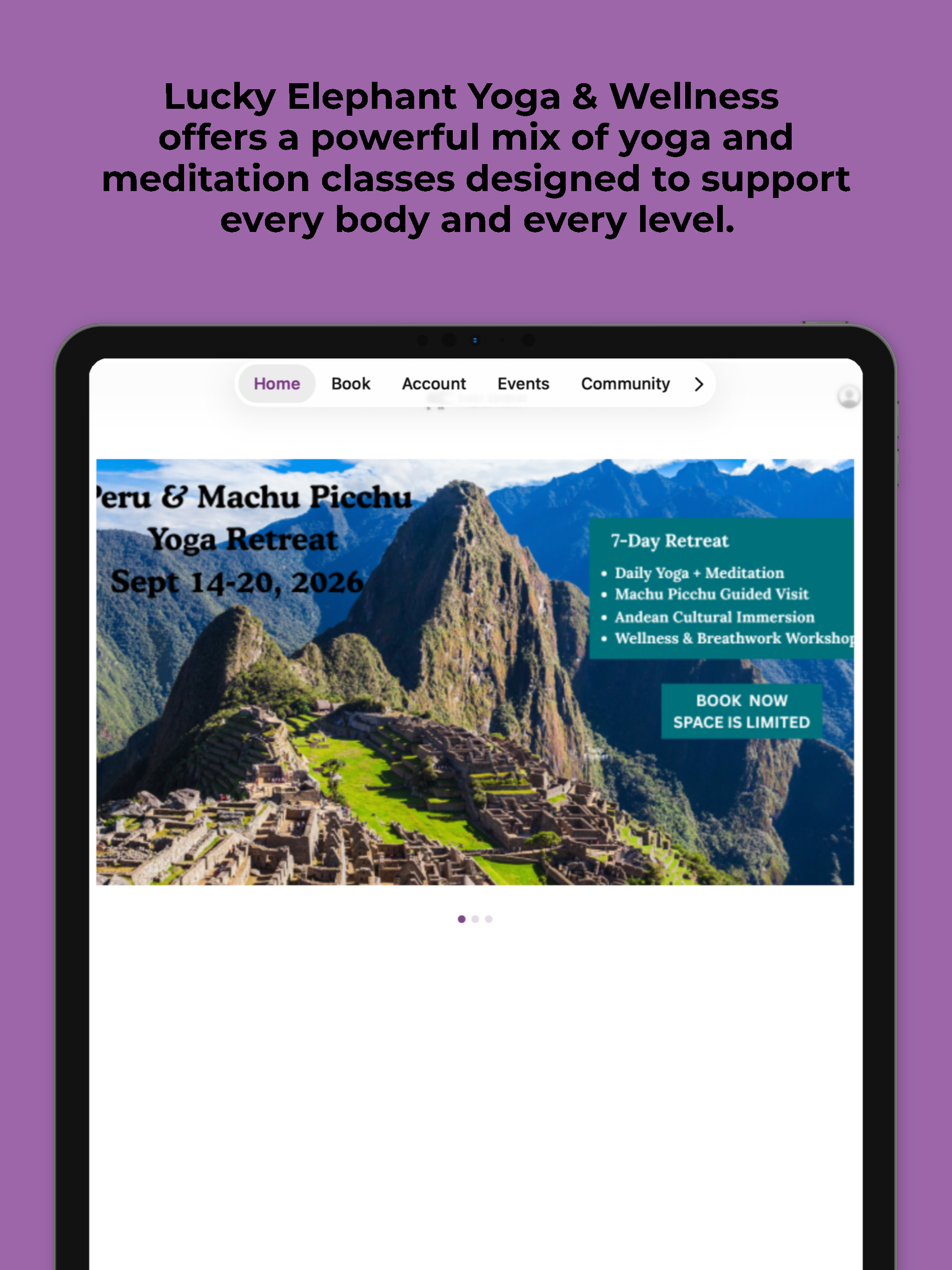 Lucky Elephant Yoga & Wellness screenshot 6
