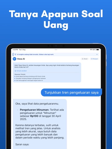 Hexa: AI Business Finance iPad screenshot