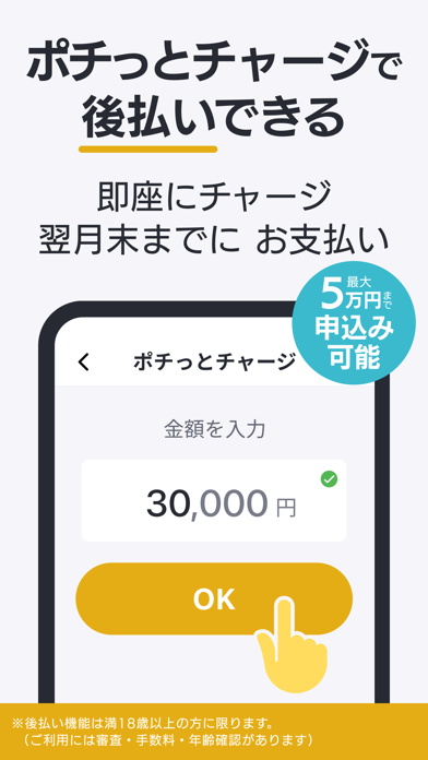 バンドルカード｜Visaカードに後払いチャージ！Visa対応のスクリーンショット