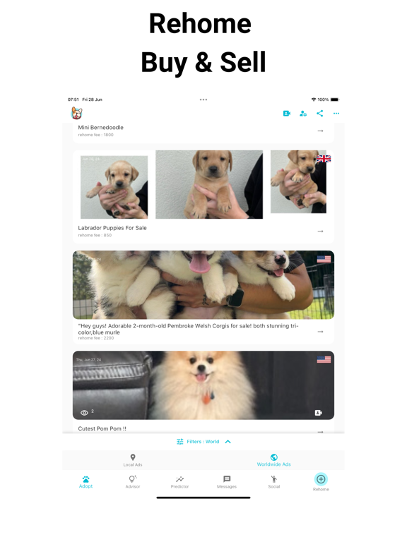 Screenshot #4 pour Pets Home Animaux de Compagnon