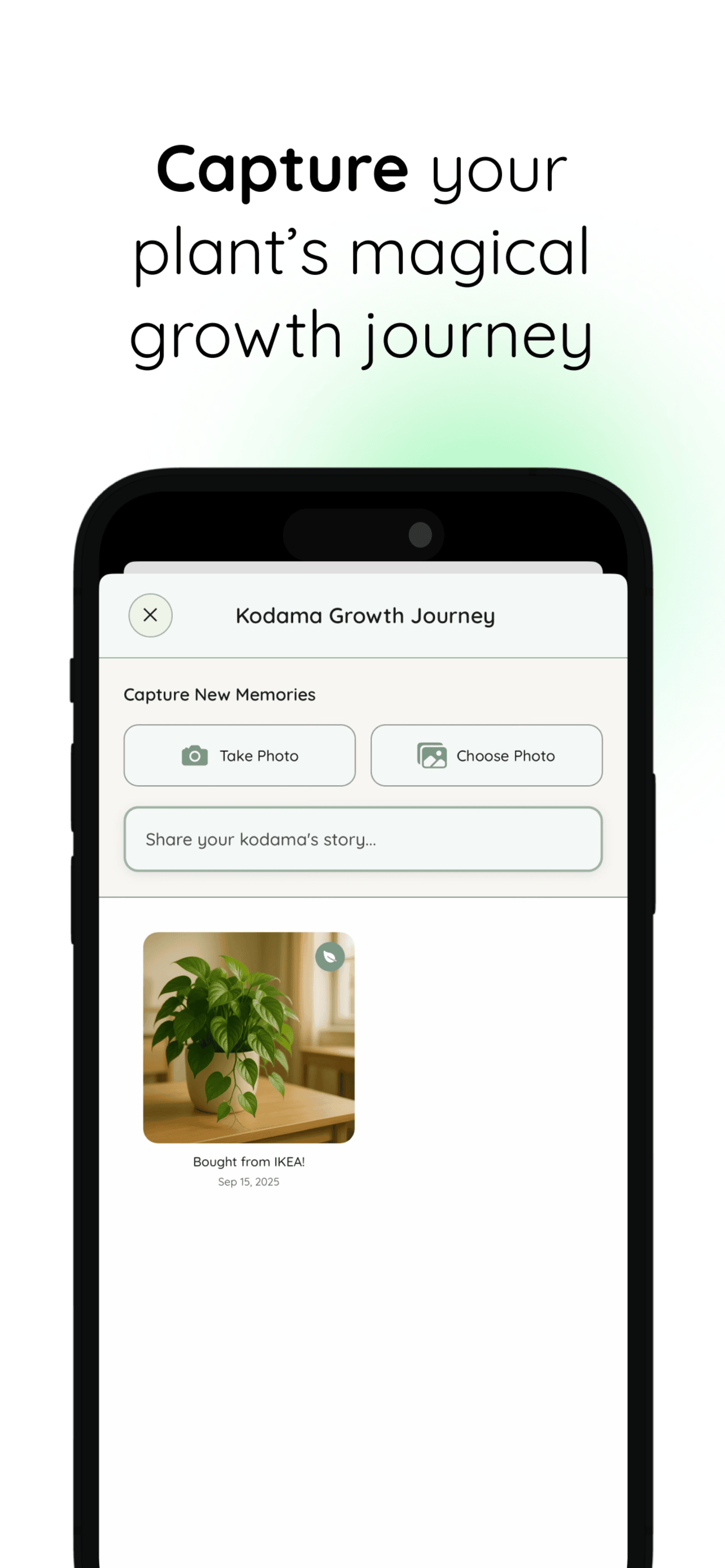 Kodama Grove
