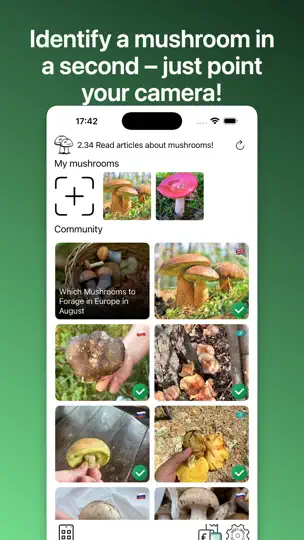 Скриншот Грибы: Определитель по Фото на iPhone 2