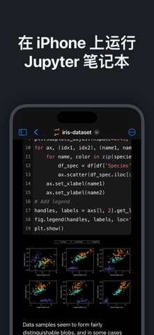Juno – Python 与 Jupyter screenshot