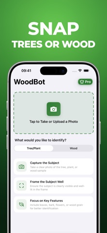 Tree Identifier - WoodBot Screenshot 1 of 3
