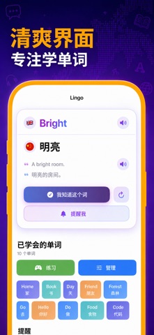 Lingo Widget: 每日词汇 screenshot