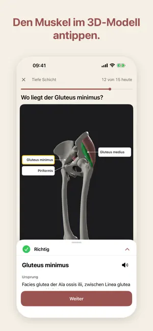 Myo Anatomie 3D screenshot 4