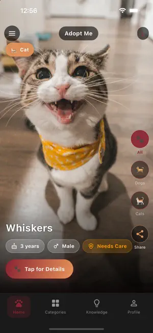 adoptmekw screenshot 2