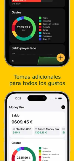 Captura de pantalla de Money Pro en iPhone 3