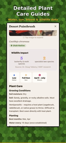 Beehive Connections iPhone screenshot