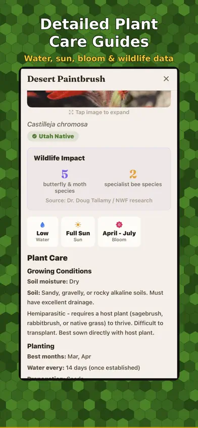 Beehive Connections screenshot 4