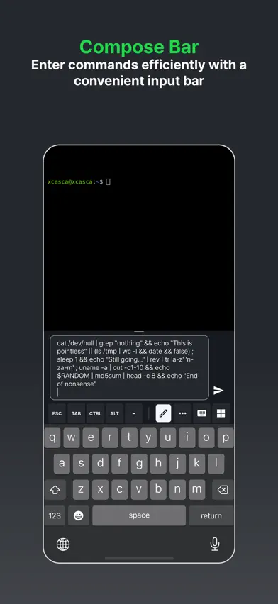 Xcasca screenshot 5