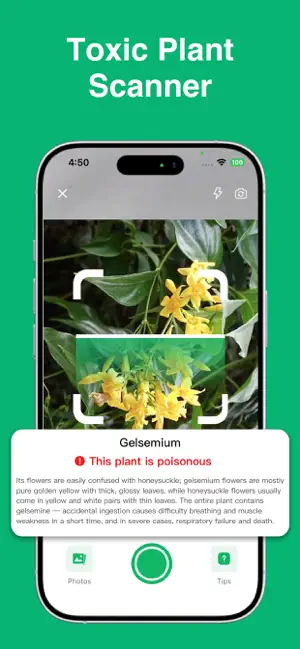 Plant Identifier: ChatPlant AI screenshot 6
