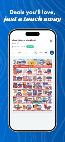Mizer's Foods iPhone screenshot