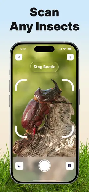 Bug ID - AI Insect Identifier screenshot 3