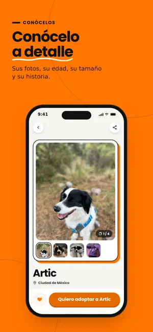Artic Pet | Adopta animales screenshot 2