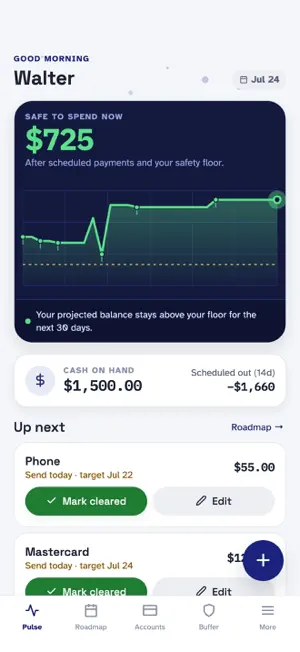 PAYMENT PULSE screenshot 1