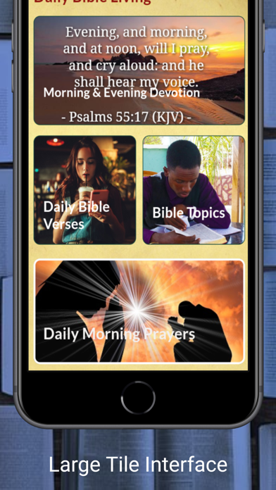 BBE Basic English Bible Screenshot