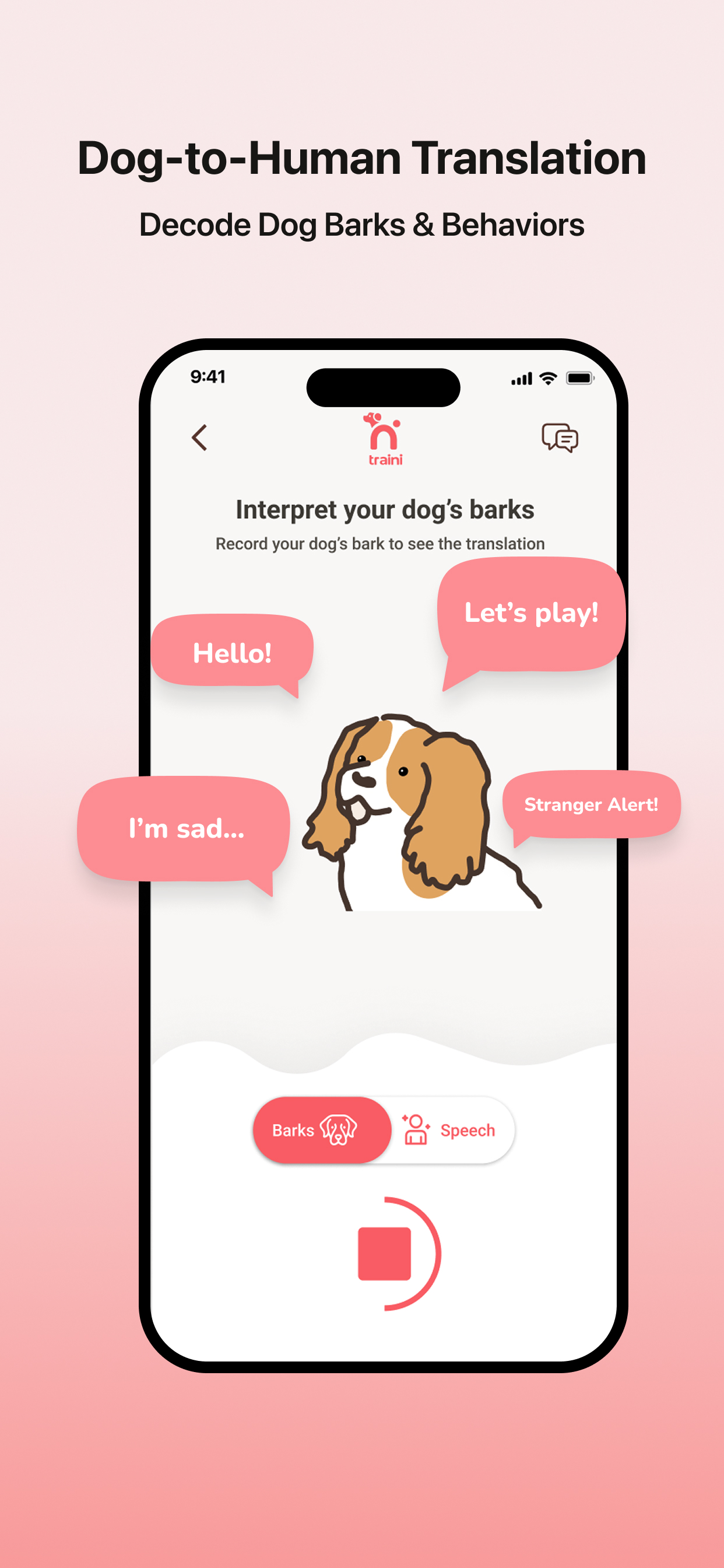 Traini-Dog Training & Insights