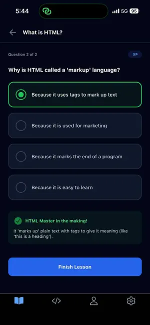 Learn HTML: Coding & Tags screenshot 4