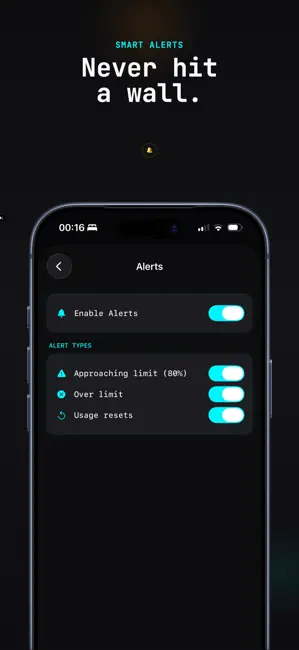 VibeCheck - Limits Companion iPhone screenshot 5