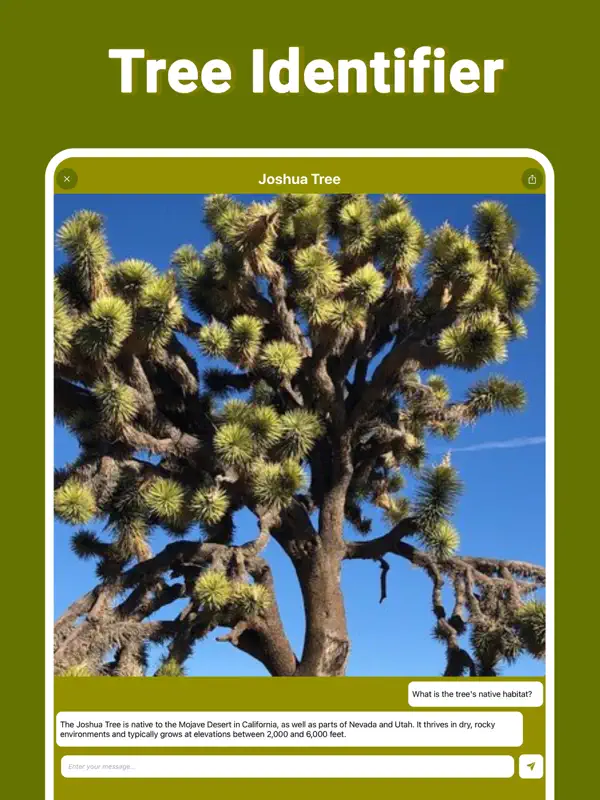 Treelogy screenshot 15