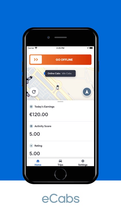 Driver eCabs screenshot-3