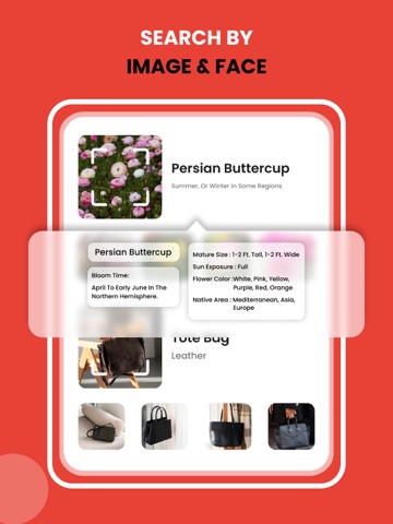 Image Recognition And Searcher iPad screenshot